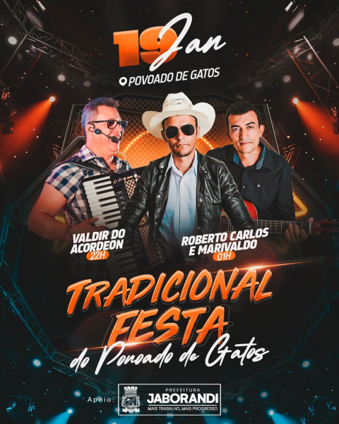 Vem aí a Tradicional Festa de Gatos!