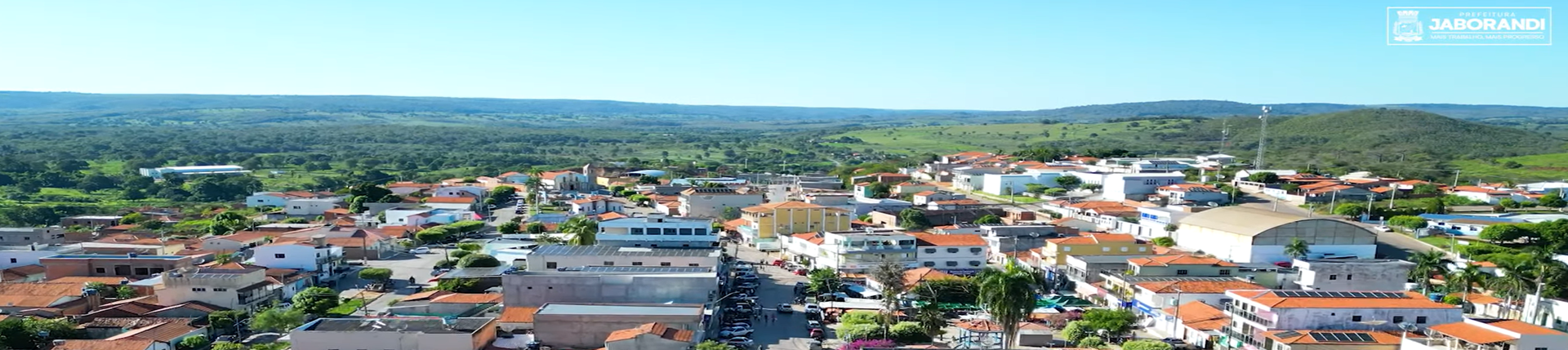 Jaborandi